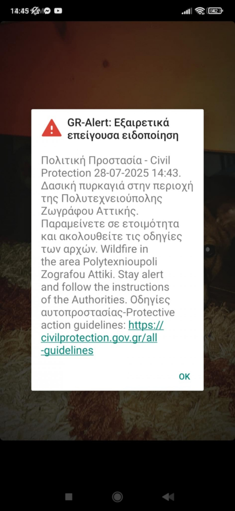 e3f9e5cd-efcd-47f8-aa86-f4a94514e603.jpg