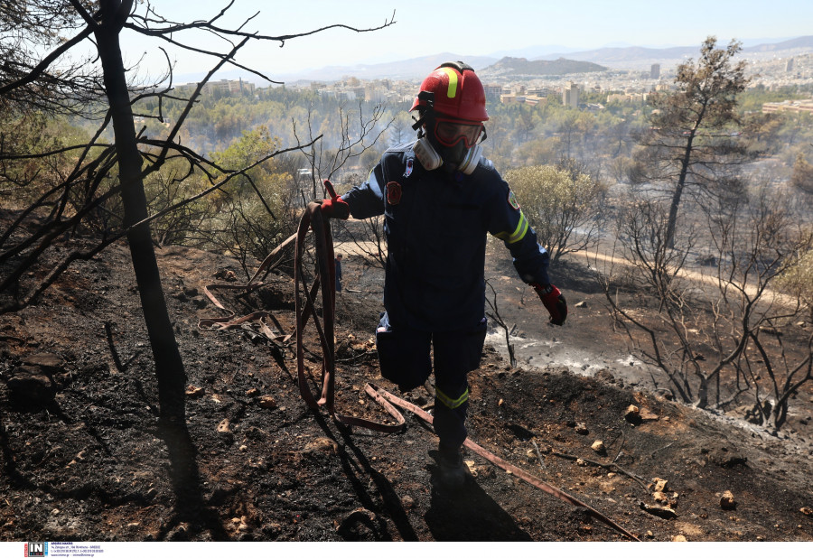 ΔΑΣΙΚΗ ΠΥΡΚΑΓΙΑ ΣΕ ΧΑΜΗΛΗ ΒΛΑΣΤΗΣΗ ΠΛΗΣΙΟΝ ΤΗΣ ΠΟΛΥΤΕΧΝΕΙΟΥΠΟΛΗΣ ΖΩΓΡΑΦΟΥ