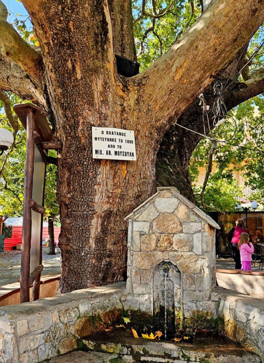 Αυτό είναι το χωριό της Λάρισας που ξεκουράζει το μάτι και ανακουφίζει τα πνευμόνια cdc231a6 202508010617405423