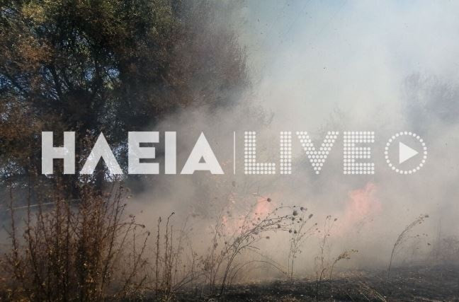 fotia-ileia-tora.jpg