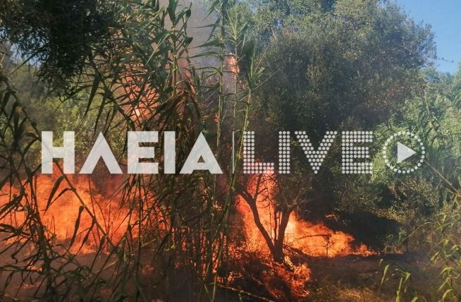 hleia-fotia.jpg