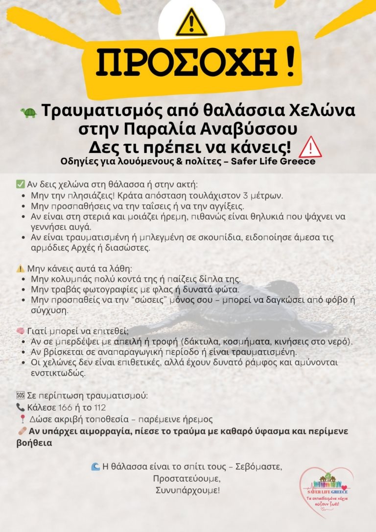 Θαλάσσια Χελώνα Οδηγίες