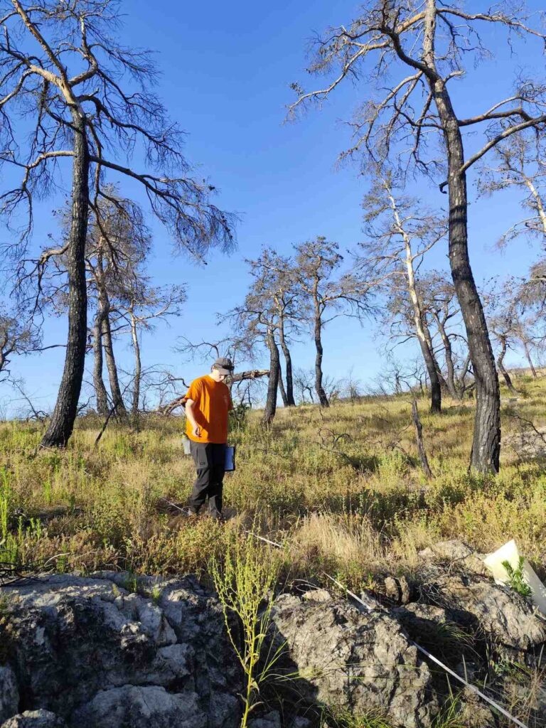 αναγέννηση-δαδια-εβρος