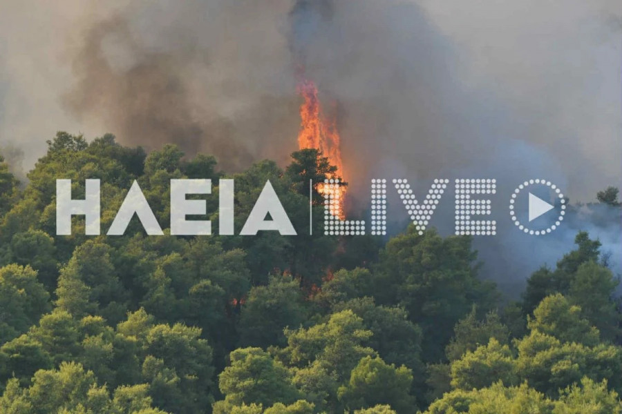 Φωτιά Ηλεία 