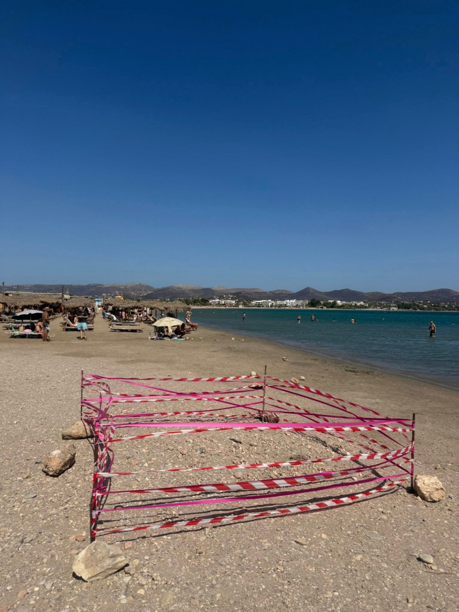 αναβυσσος χελωνα
