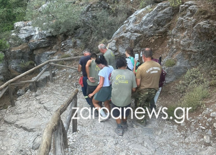 σαμαρια διασωση