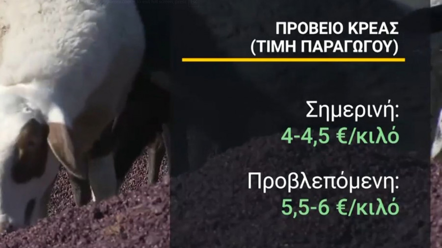 Πρόβειο Κρέας