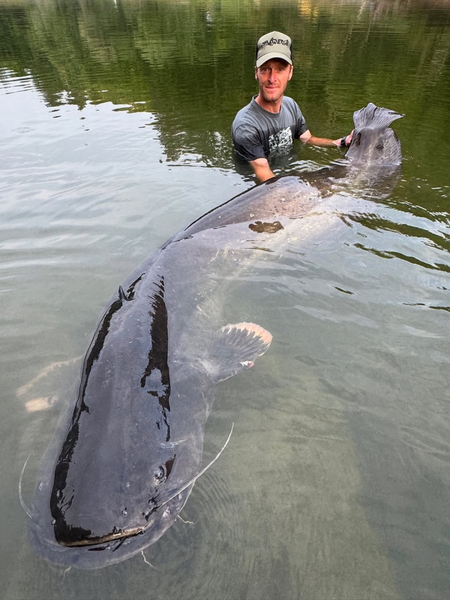 Γατόψαρο - Τσεχία