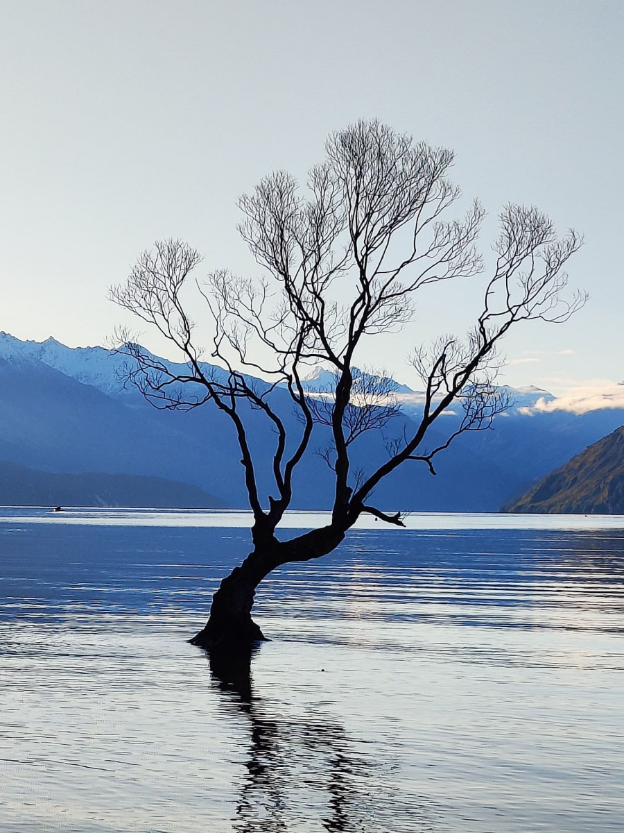 Πέτρος Πολυχρονίδης - Νέα Ζηλανδία