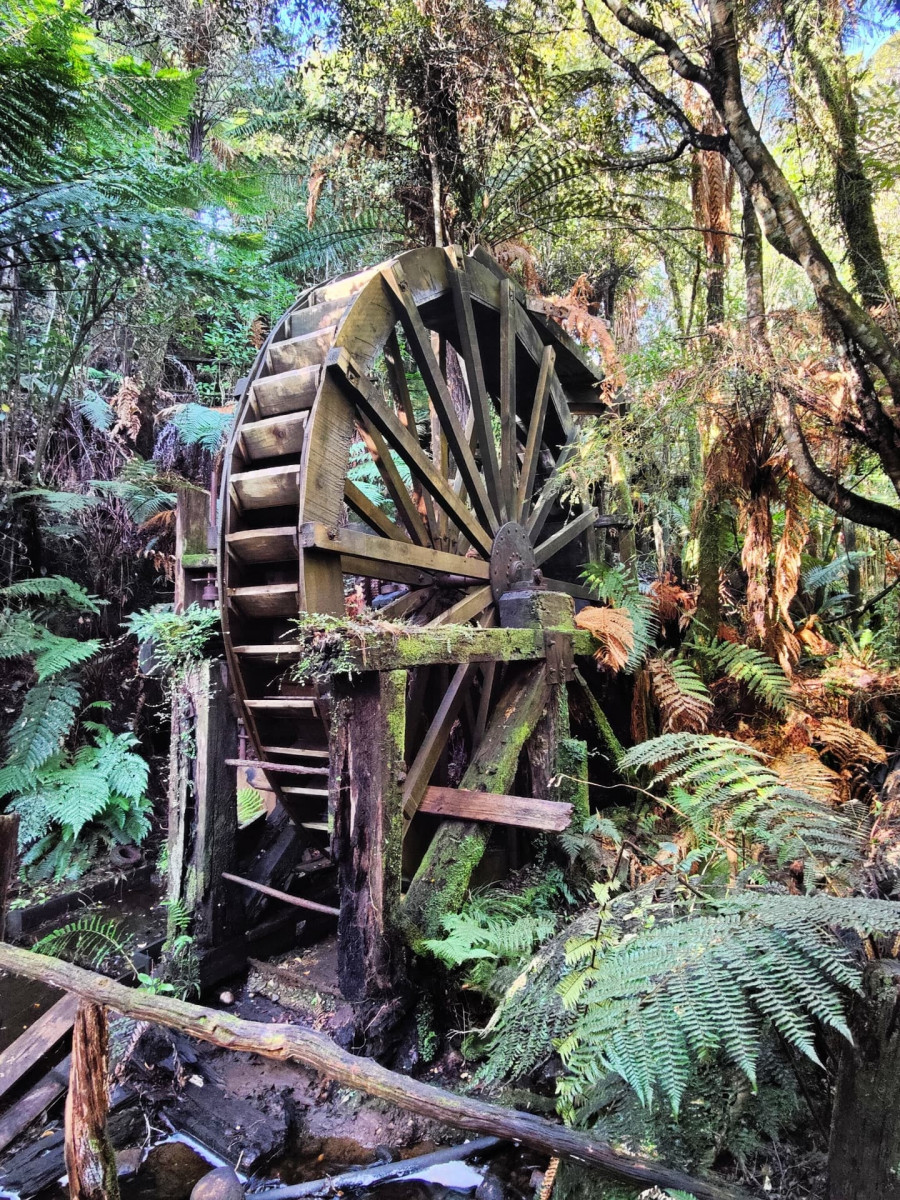 Πέτρος Πολυχρονίδης - Νέα Ζηλανδία