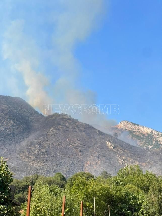 Φωτιά Λιβάρτζι