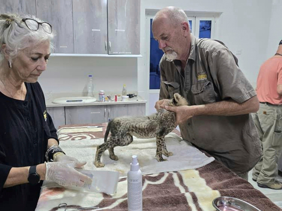 Τσίτα - Σομαλιλάνδη