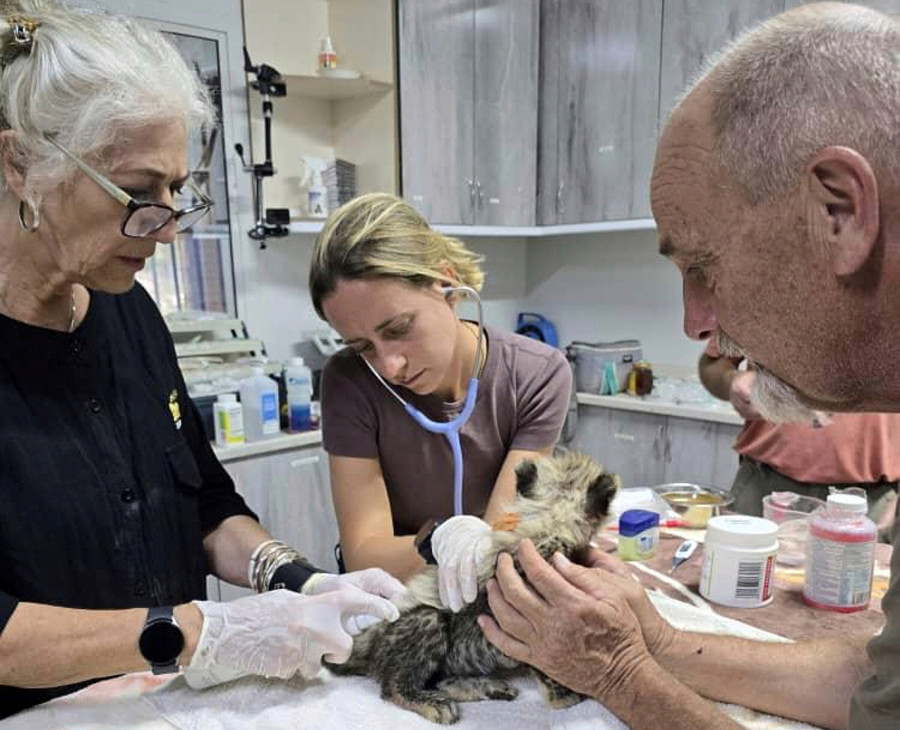 Τσίτα - Σομαλιλάνδη