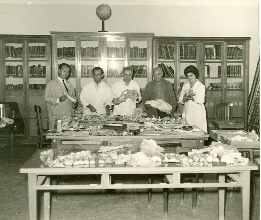 1963.jpg