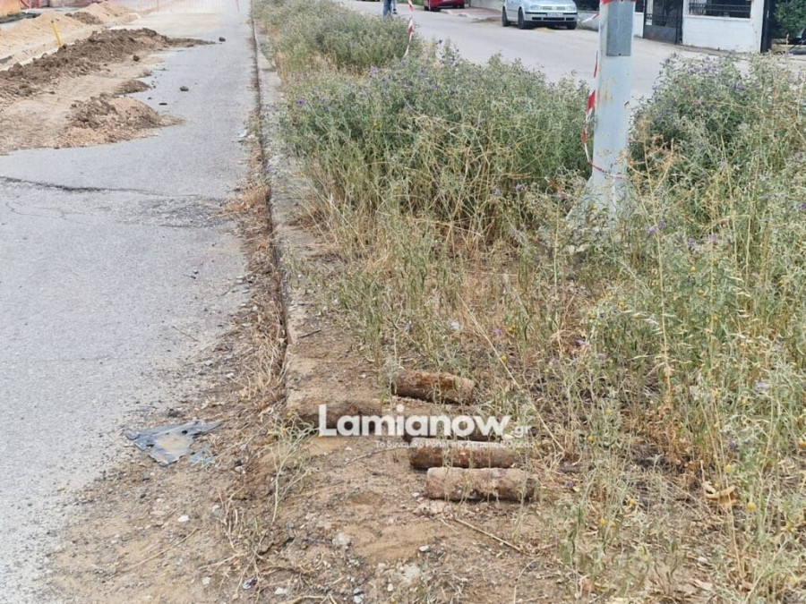 1000114012 | Lamianow.gr