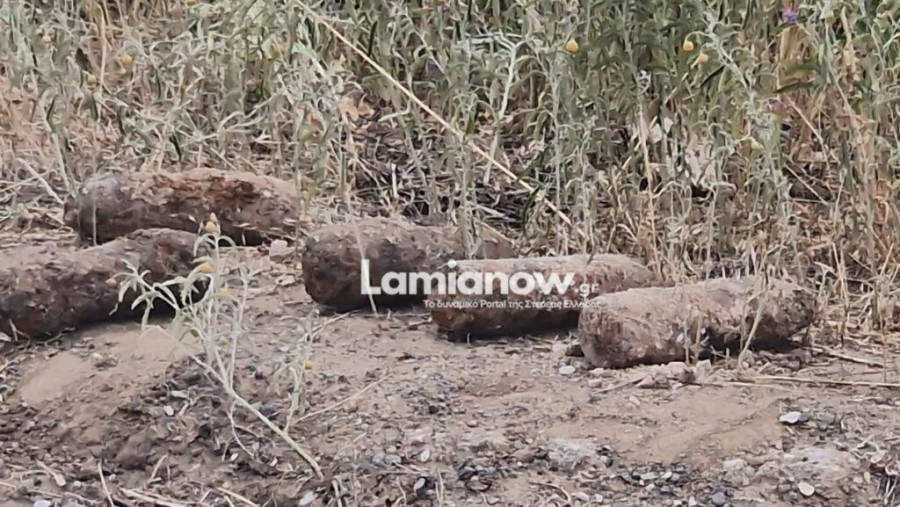 1000114015 | Lamianow.gr