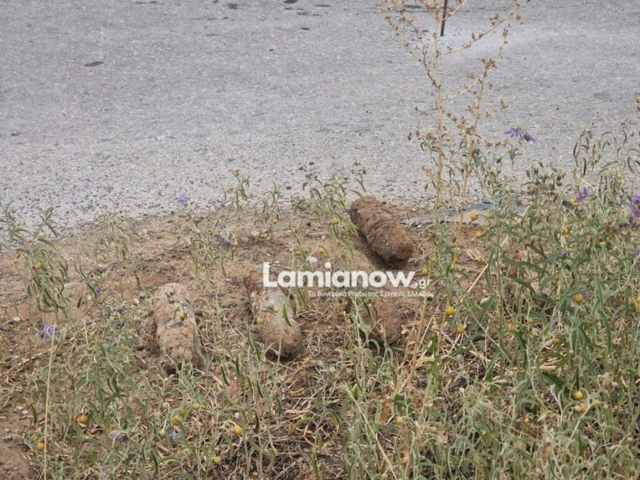 1000114016 | Lamianow.gr