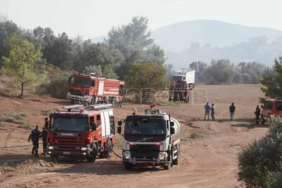 Εικόνα 1
