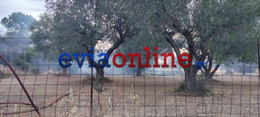 Φωτιά Εύβοια ΔΕΗ 