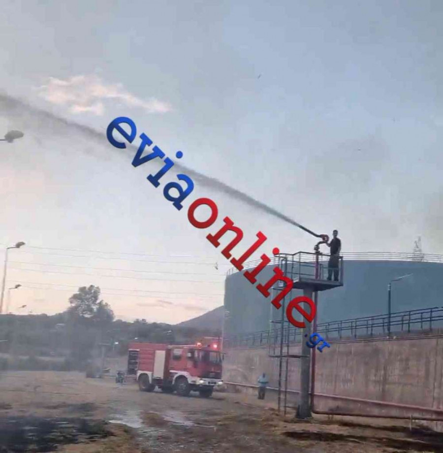 Φωτιά Εύβοια ΔΕΗ 