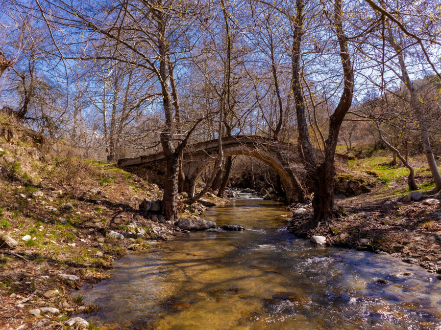 Κρουσοβίτης