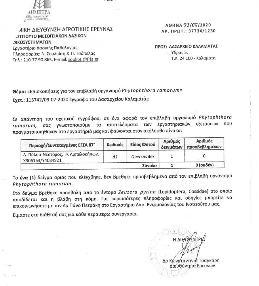 Βελανιδιά