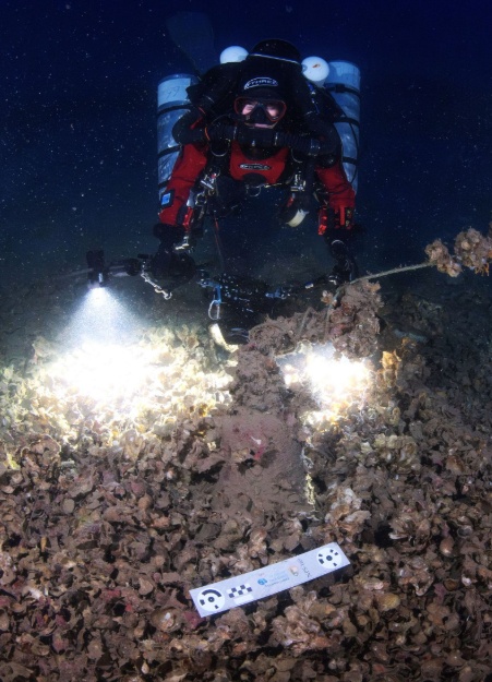 ΝΑΥΑΓΙΟ ΒΡΕΤΑΝΙΚΟΥ