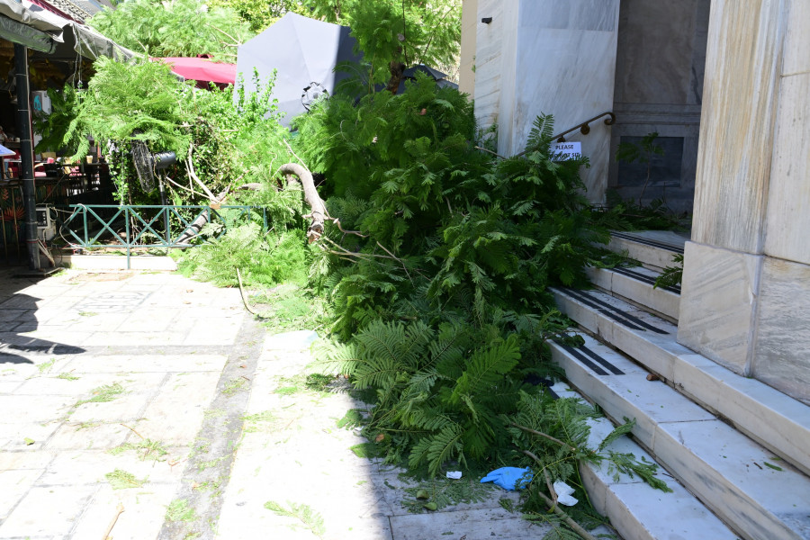 Πτώση δέντρου στην πλατεία Αγίας Ειρήνης
