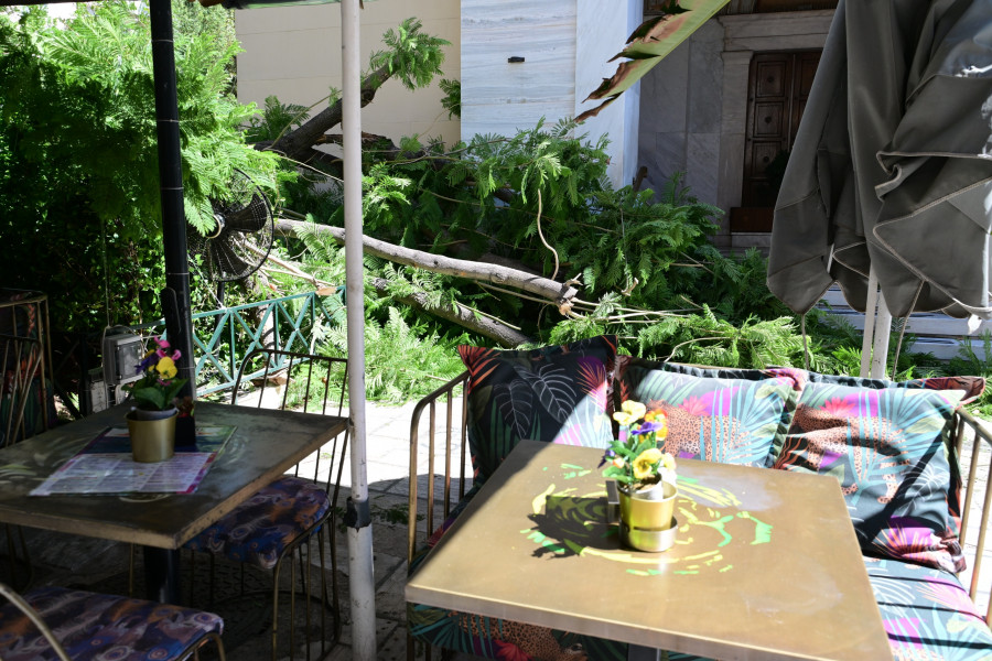 Πτώση δέντρου στην πλατεία Αγίας Ειρήνης