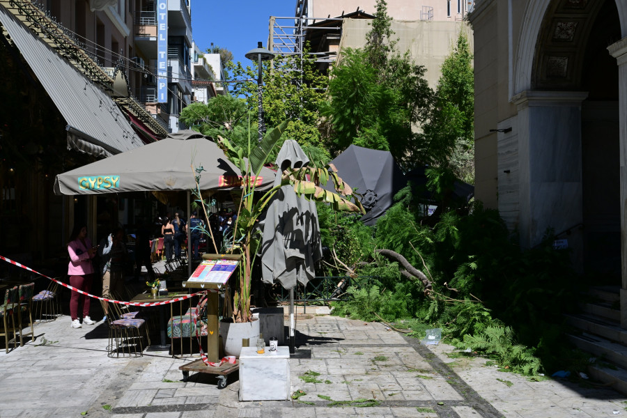 Πτώση δέντρου στην πλατεία Αγίας Ειρήνης