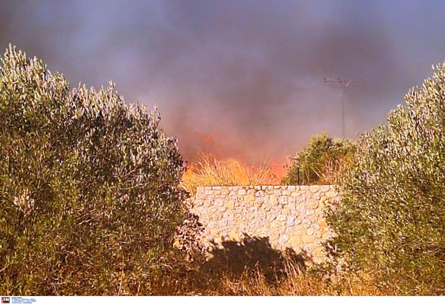 Φωτιά στο Κουνούπι Αργολίδας.