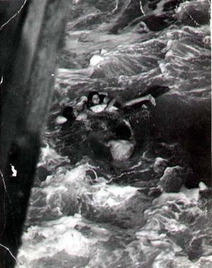 two-rescued.jpg
