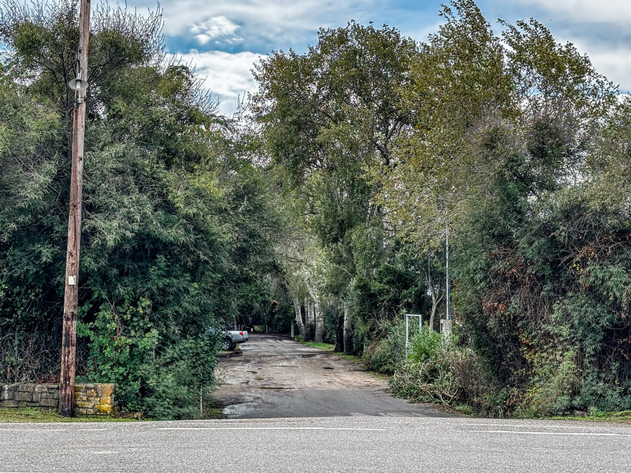 Φοινικούντα