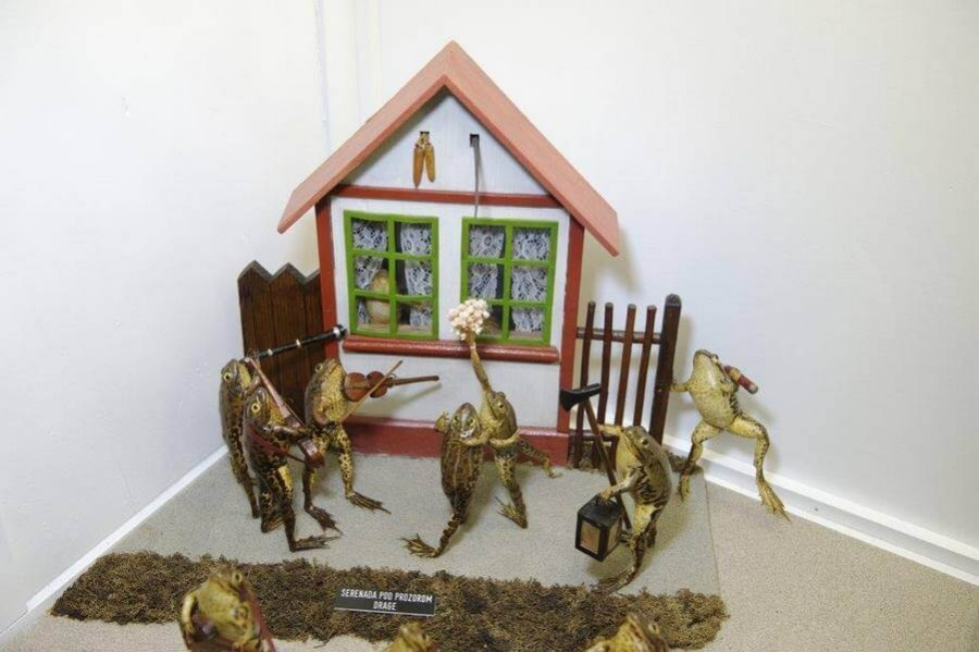 froggyland