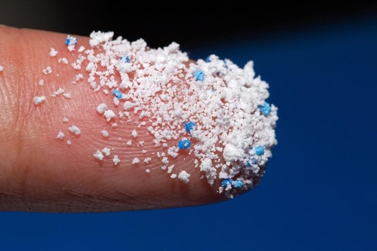 microplastic-on-finger-777x518.jpg
