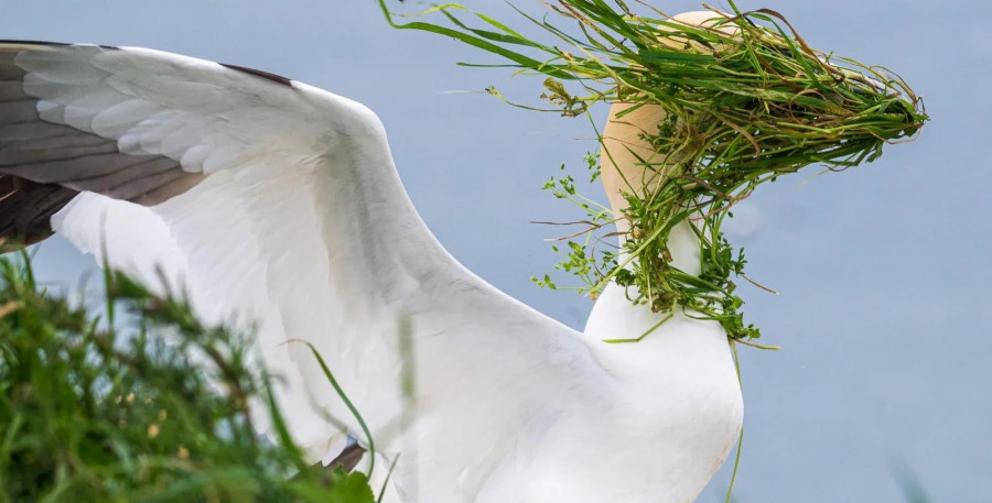 Φωτογραφίες - Comedy Awards