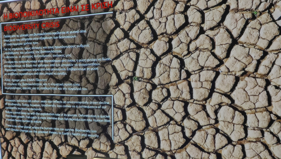 βιοποικιλότητα