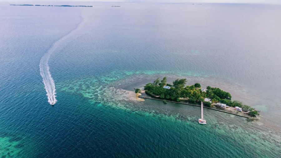 Νησί - Φράνσις Φορντ Κόπολα
