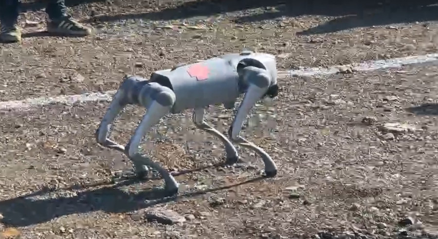 σκυλος-λαικα