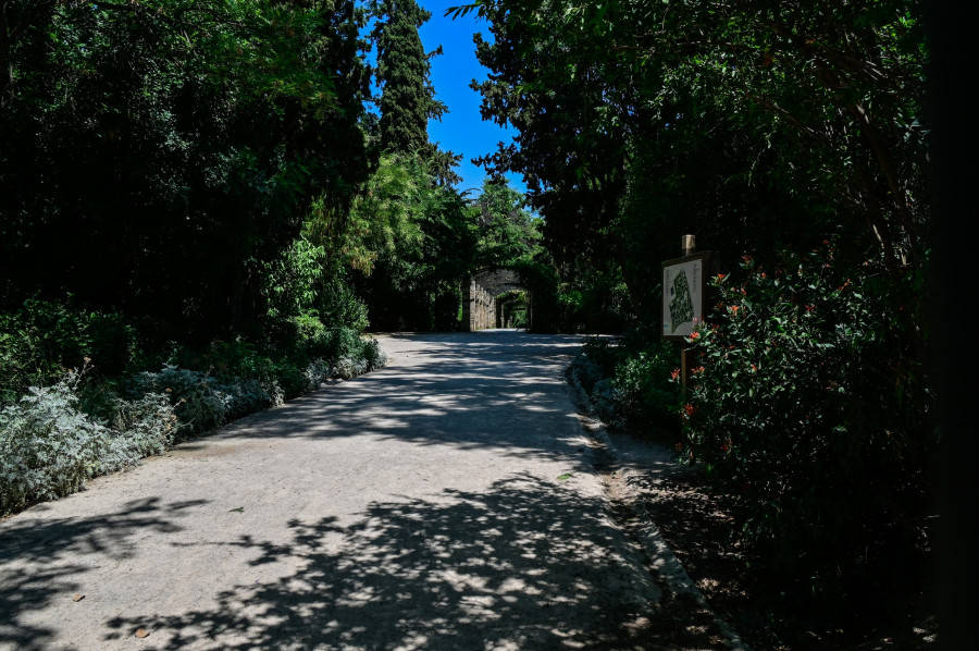 [379628] ΚΛΕΙΣΤΟΣ Ο ΕΘΝΙΚΟΣ ΚΗΠΟΣ ΛΟΓΩ ΤΩΝ ΙΣΧΥΡΩΝ ΑΝΕΜΩΝ (ΜΙΧΑΛΗΣ ΠΑΠΑΝΙΚΟΛΑΟΥ/EUROKINISSI)