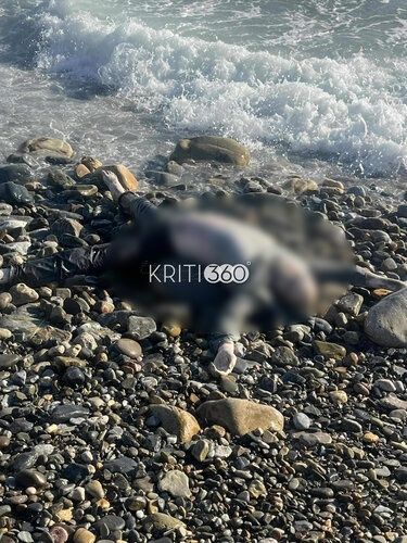 Πτώμα, Παλαιόχωρα