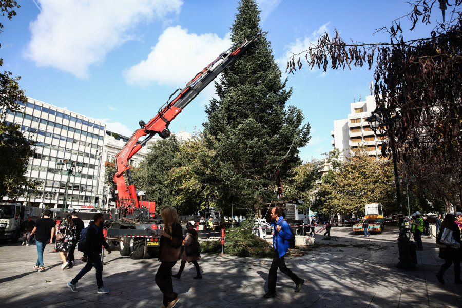Τοποθέτηση του χριστουγεννιάτικου δέντρου στην πλατεία Συντάγματος.