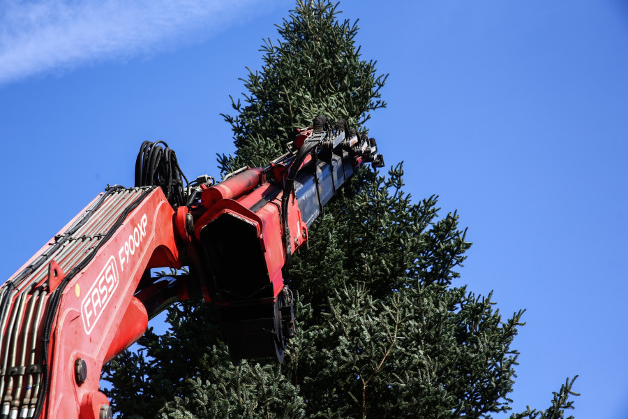 Τοποθέτηση του χριστουγεννιάτικου δέντρου στην πλατεία Συντάγματος.