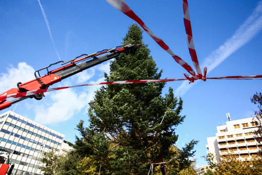 Τοποθέτηση του χριστουγεννιάτικου δέντρου στην πλατεία Συντάγματος.