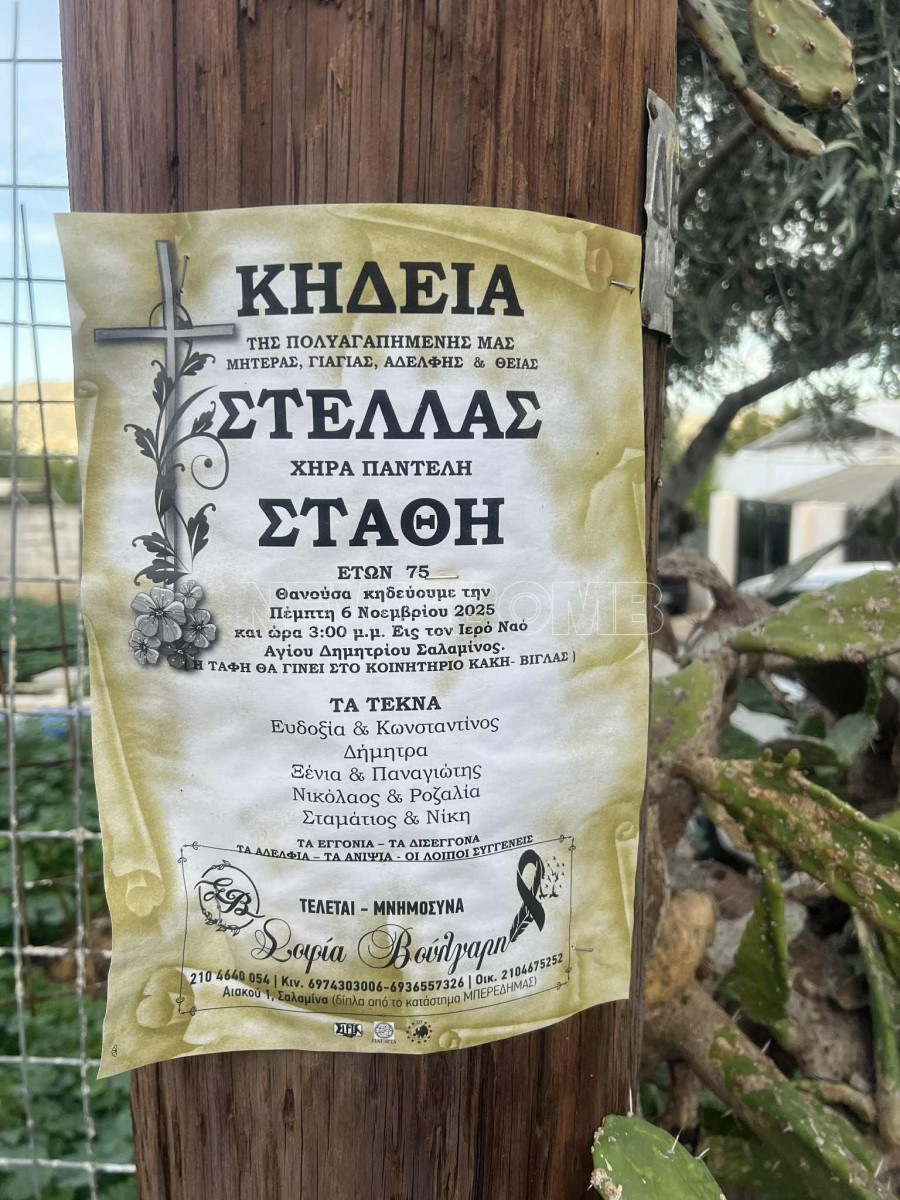 σαλαμινα