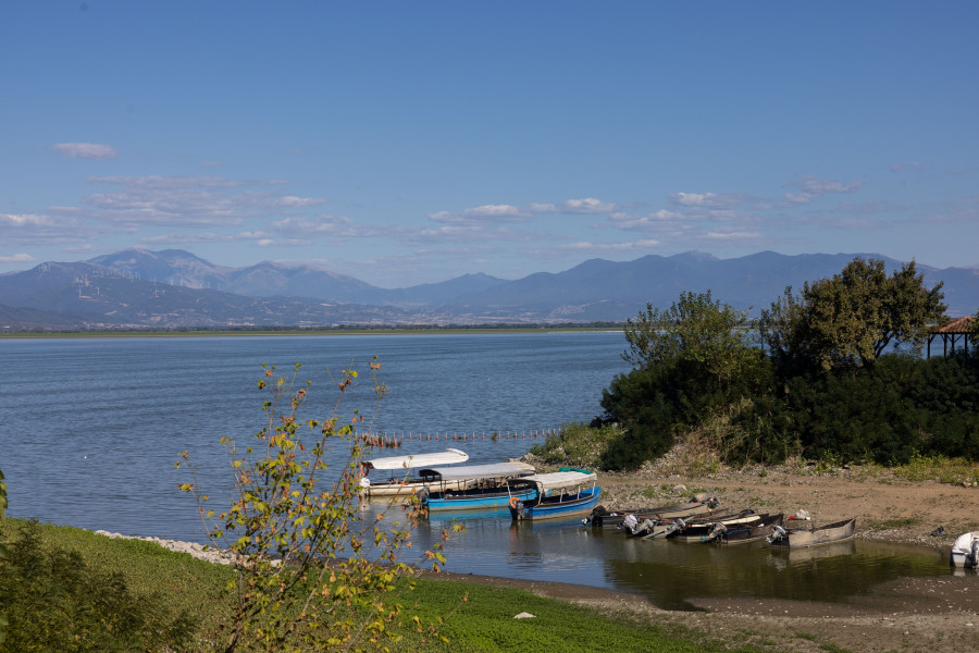 Λίμνη Κερκίνη
