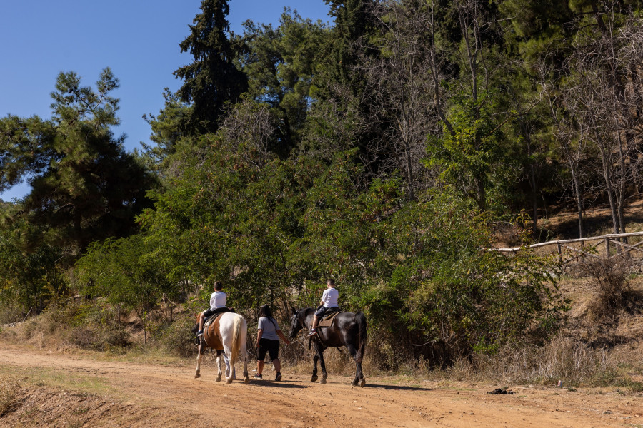 Λίμνη Κερκίνη