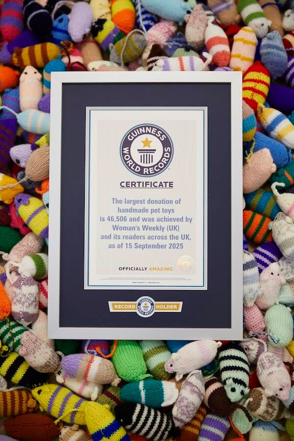 Γατάκια - Πλεκτά ποντίκια