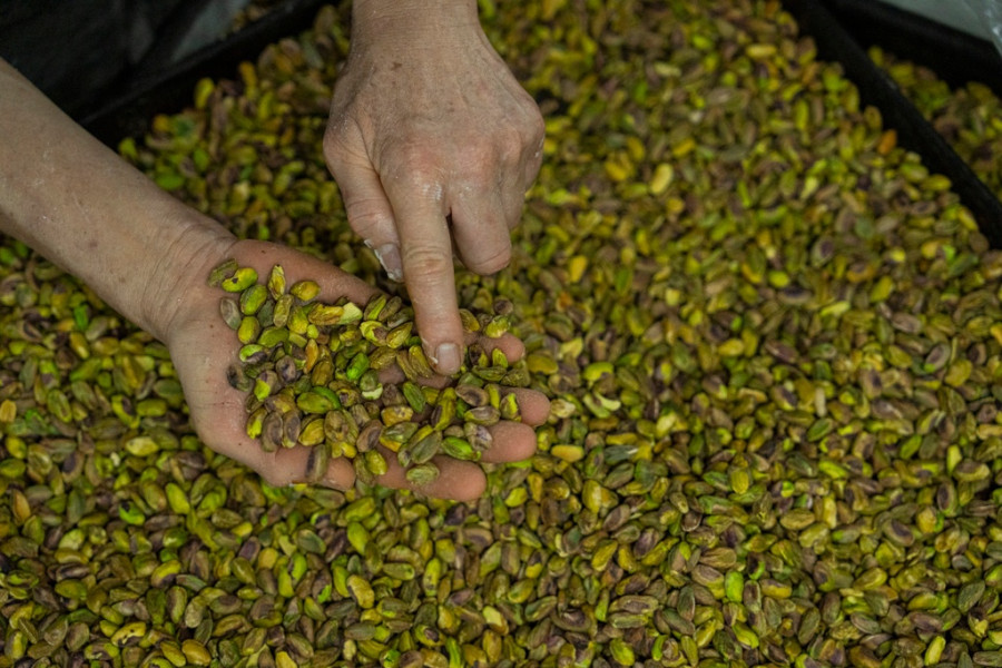 Hong Kong Pistachios Photo Gallery