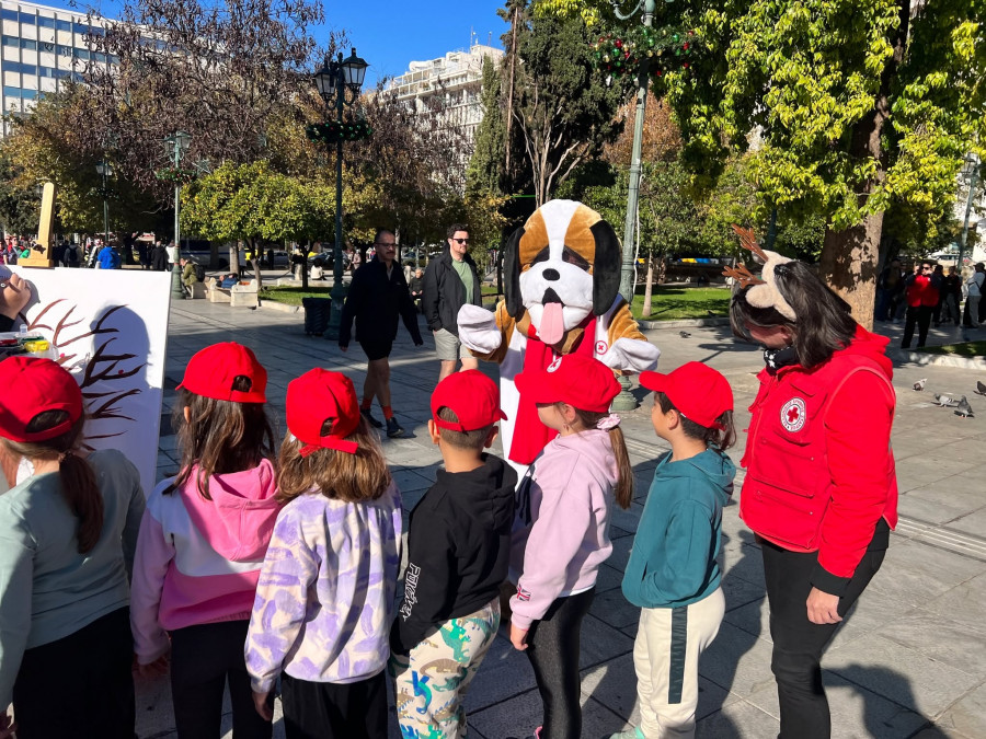 ερυθρός σταυρός - δράση